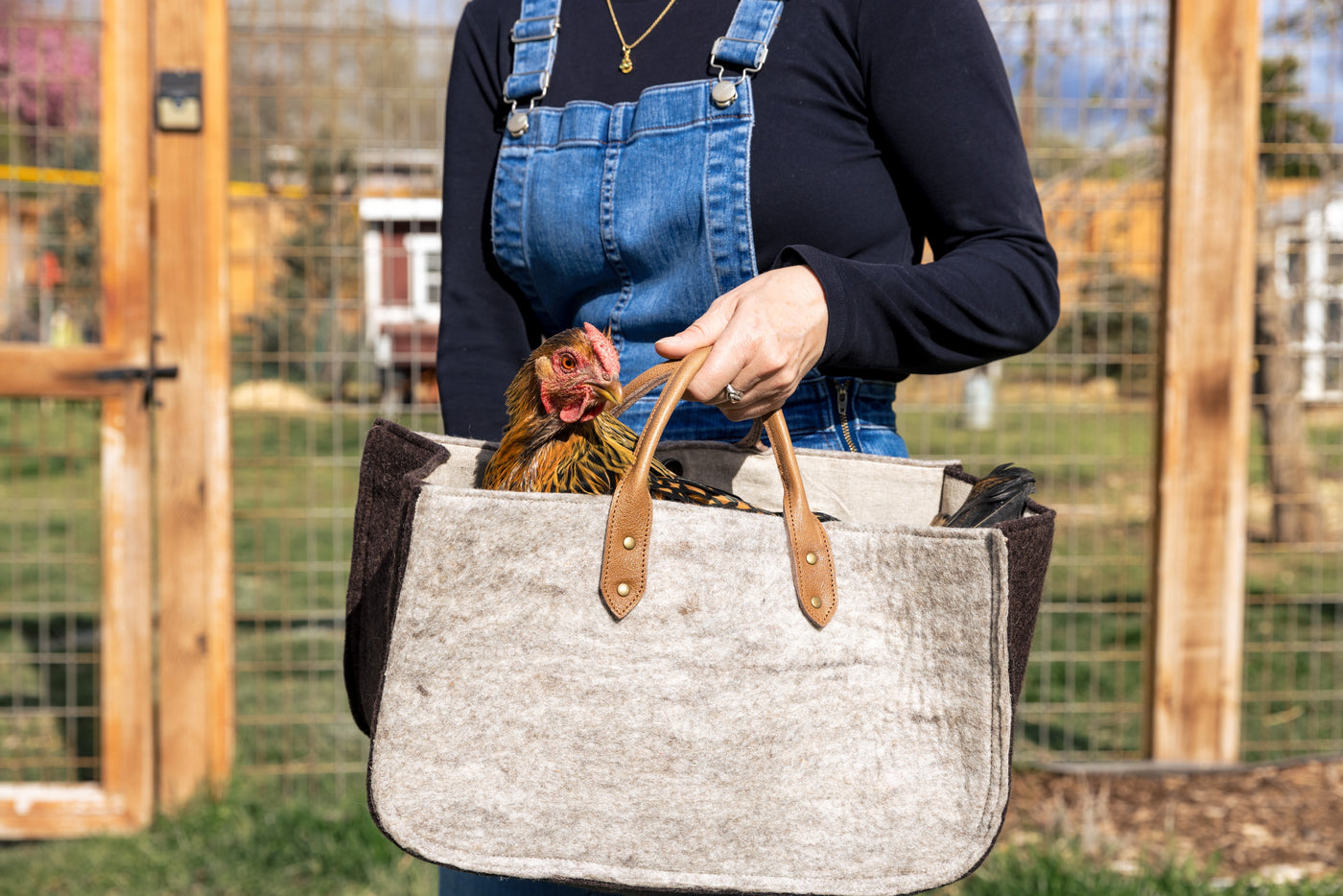Grab and Go Carry All