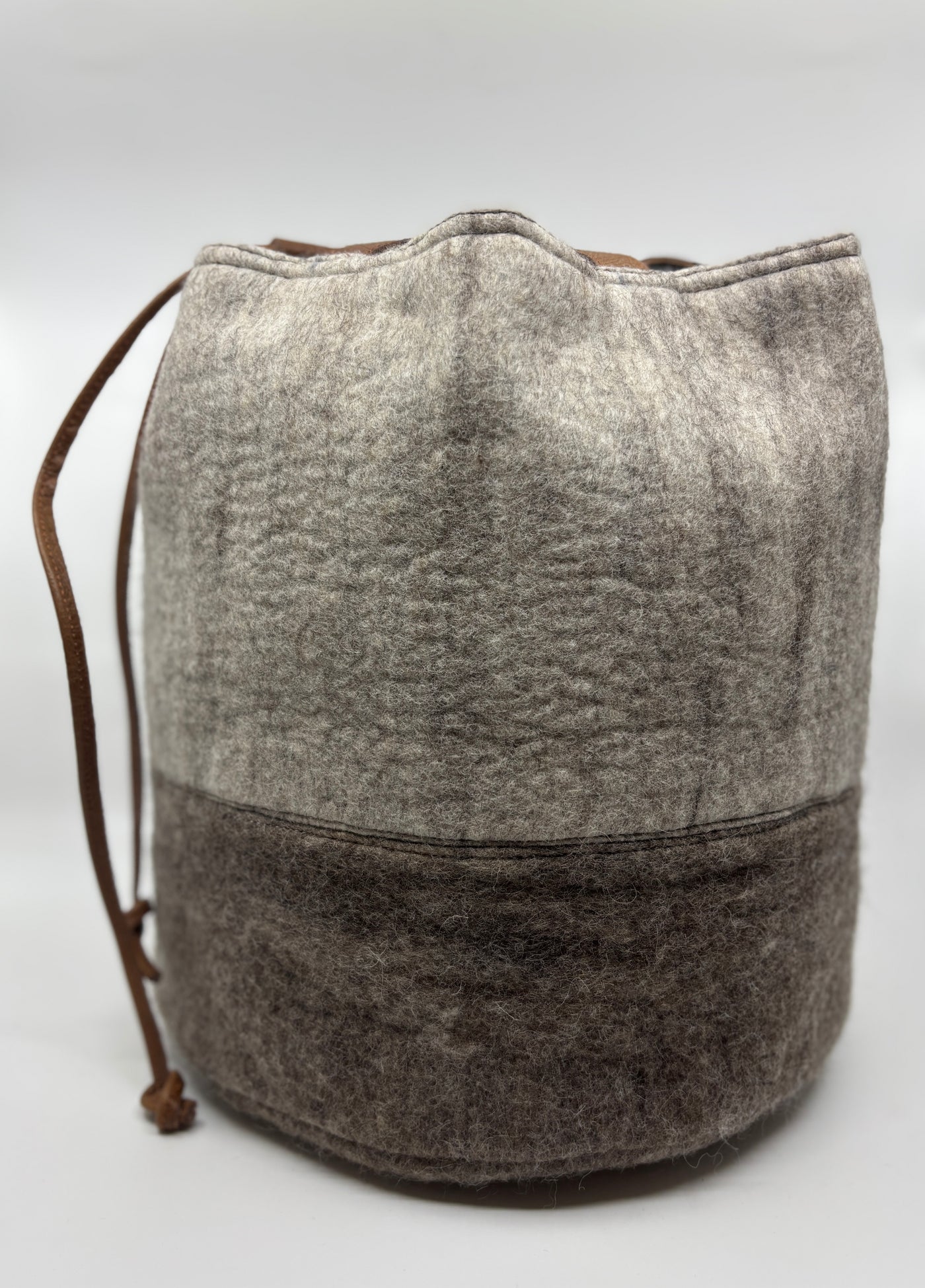 Project Bags