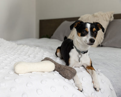 Felt Dog Bone Toy