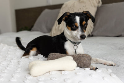 Felt Dog Bone Toy